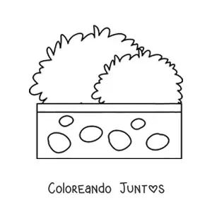 Arbusto en una maceta