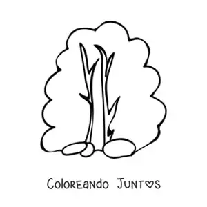 Imagen para colorear de un arbusto grande