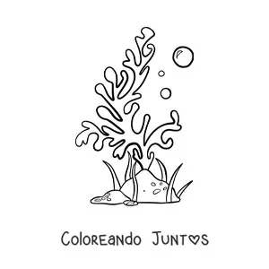 Alga de mar con roca y burbuja
