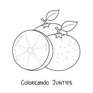 Imagen para colorear de dos naranjas y media naranja