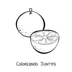 Imagen para colorear de una naranja y media