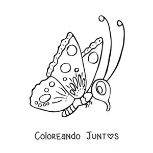 Mariposa animada