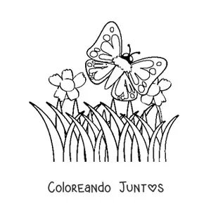 Mariposa y flores 3
