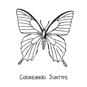 Mariposa