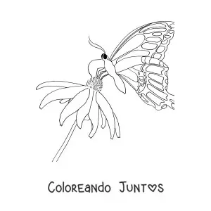 Imagen para colorear de una mariposa posada sobre una flor