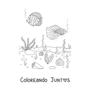 Imagen para colorear de dos peces en el fondo del mar con corales y algas marinas