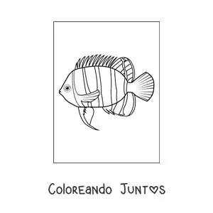 Imagen para colorear de un pez con líneas verticales en el cuerpo