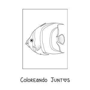 Imagen para colorear de un pez ángel realista