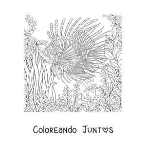 Imagen para colorear de un pez león en el fondo del mar nadando entre algas