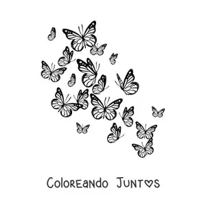 Imagen para colorear de varias mariposas volando