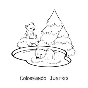 Imagen para colorear de un par de osos polares en un lago junto a unos pinos