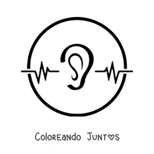Sentido del oído