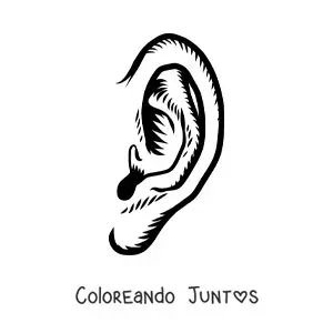 Imagen para colorear de una oreja humana