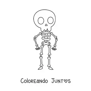 Imagen para colorear de un esqueleto humano kawaii entero