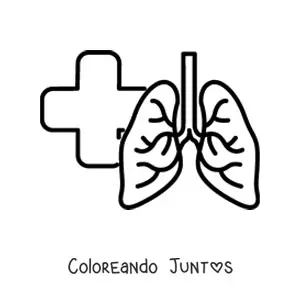 Pulmones sanos