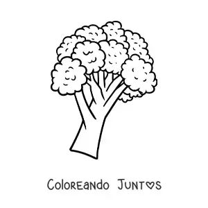 Un brócoli