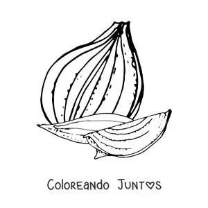 Cebolla picada