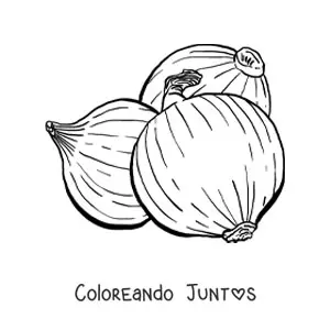 Cebollas