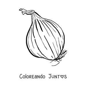 Cebolla grande