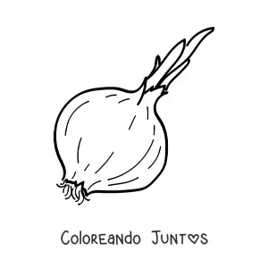 Imagen para colorear de una cebolla paiteña