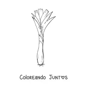 Imagen para colorear de una cebolla larga o cebollín