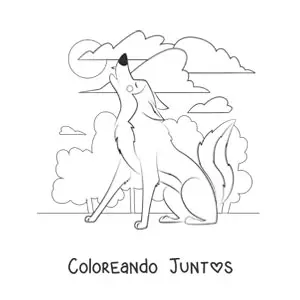Lobo aullando a la luna