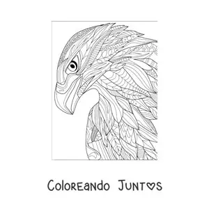 Imagen para colorear de un mandala de halcón
