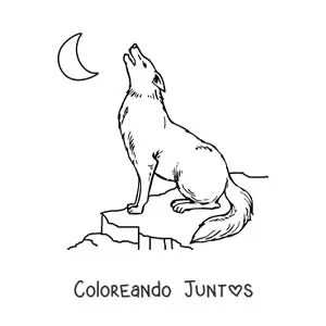 Imagen para colorear de un lobo aullando a la luna sentado sobre una roca