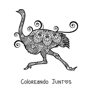 Imagen para colorear de un mandala de avestruz