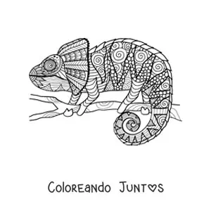Imagen para colorear de un mandala de camaleón