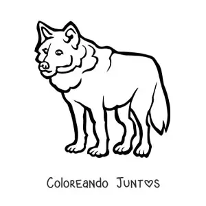 Imagen para colorear de un lobo