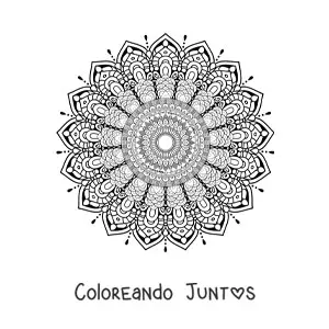 Imagen para colorear de un mandala súper difícil