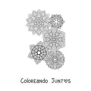 Imagen para colorear de un mandalas estilo Zentangle