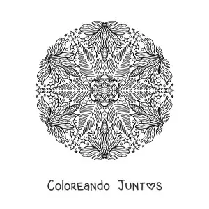 Imagen para colorear de mandala de insectos y hojas para niños