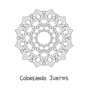 Imagen para colorear de mandala para adultos mayores