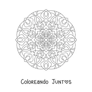 Mandala para adultos mayores 6