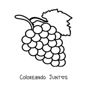 Imagen para colorear de un racimo de uvas con una hoja