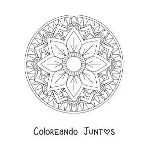 Imagen para colorear de mandala circular fácil con flor