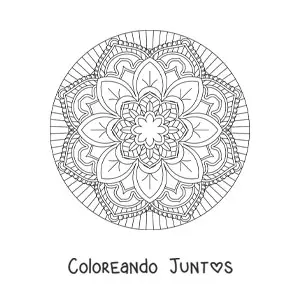 Imagen para colorear de mandala circular fácil con flores