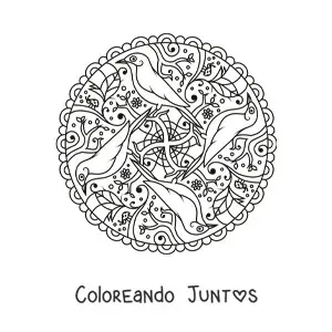 Imagen para colorear de mandala de aves
