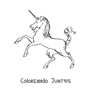 Imagen para colorear de un unicornio en dos patas