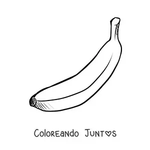 Imagen para colorear de una banana con cáscara