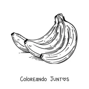 Imagen para colorear de un racimo de bananas realista