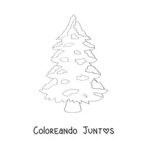 Imagen para colorear de pino navideño nevado sin decorar