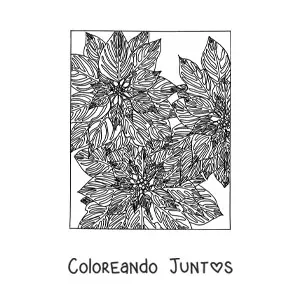 Imagen para colorear de flores de Navidad