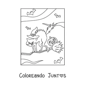 Imagen para colorear de gato volando en escoba de bruja en Halloween