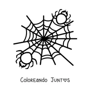 Imagen para colorear de arañas de Halloween en su telaraña