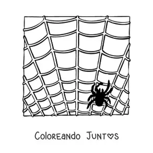 Imagen para colorear de araña de Halloween en su telaraña