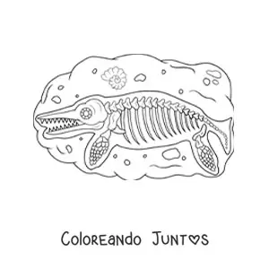 Imagen para colorear de fósil de un dinosaurio acuático