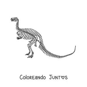 Imagen para colorear de esqueleto de un dinosaurio